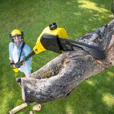 Best Commercial Tree Services  in Refugio, TX